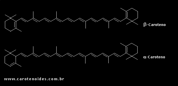 Estruturas químicas dos carotenoides bicíclicos