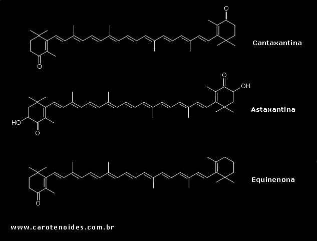 Estruturas químicas dos carotenoides oxigenados (Cetocarotenoides)