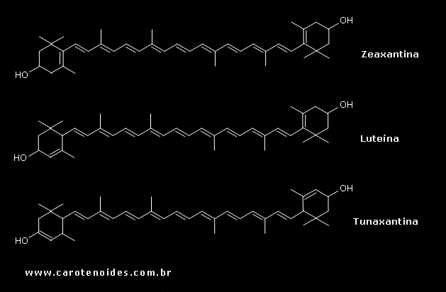 Estruturas químicas dos carotenoides dihidroxilados