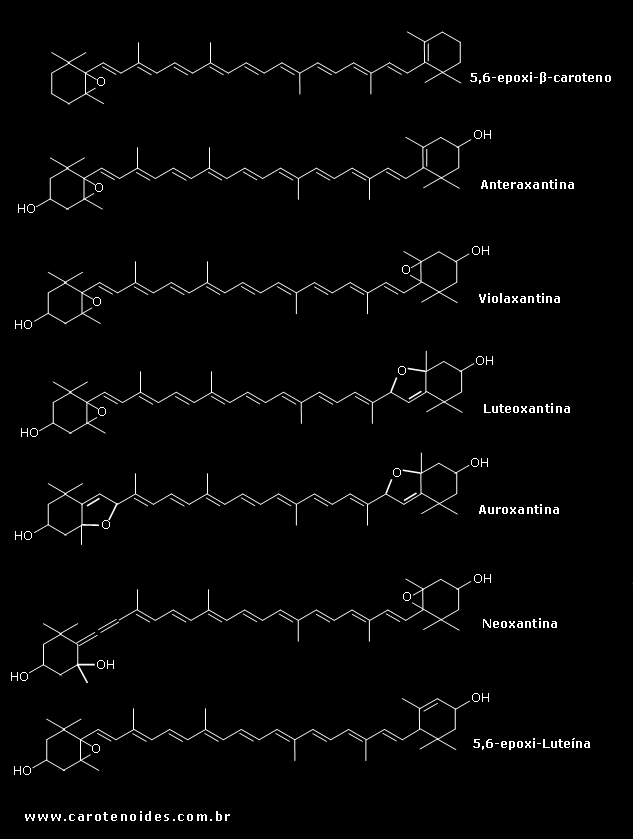 Estruturas químicas dos carotenoides oxigenados (Epoxicarotenóides)
