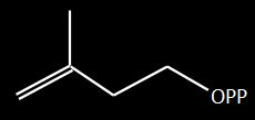 Molécula do isopentenilpirofosfato (IPP)