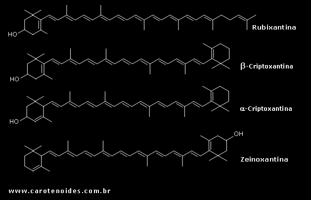 Estruturas químicas dos carotenoides monohidroxilados