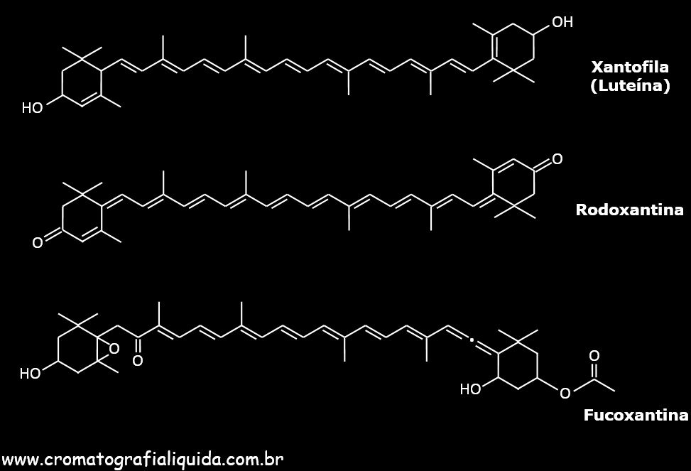 Xantofilas: Luteína, Rodoxantina e Fucoxantina