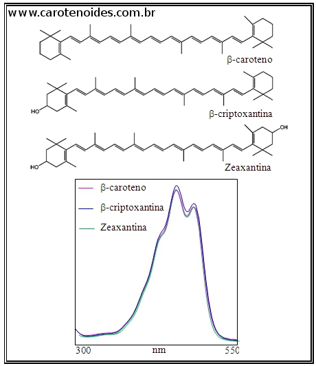 Espectros de Absorção UV/Vis do beta-caroteno, beta-criptoxantina e zeaxantina